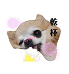 永田家の獣たち＋α（個別スタンプ：6）