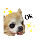 永田家の獣たち＋α（個別スタンプ：8）