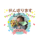 ムチュコ スタンプ（個別スタンプ：36）