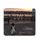 なっさんぷvar.2（個別スタンプ：24）