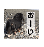 ショコラ姉さん（個別スタンプ：13）