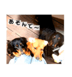 ショコラ姉さん（個別スタンプ：14）