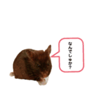 eleはむ♪（個別スタンプ：2）