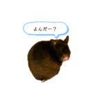 eleはむ♪（個別スタンプ：9）