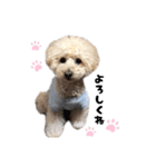 ラテ スタンプ2020（個別スタンプ：9）