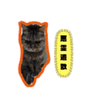 Familiaの猫スタンプ（個別スタンプ：33）