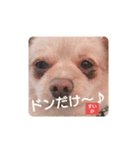 ポジティブ！すいか（個別スタンプ：3）