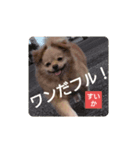 ポジティブ！すいか（個別スタンプ：4）