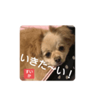 ポジティブ！すいか（個別スタンプ：8）