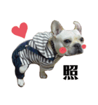 永田家の獣たち♡（個別スタンプ：1）
