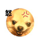永田家の獣たち♡（個別スタンプ：2）