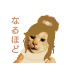 ミーさんとマーさん 4（個別スタンプ：2）
