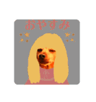 ミーさんとマーさん 4（個別スタンプ：8）