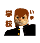 ミーさんとマーさん 4（個別スタンプ：11）