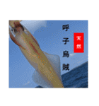 TKO FISHING part9（個別スタンプ：7）