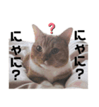 みんなともだち⑧（個別スタンプ：14）
