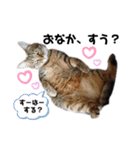 みんなともだち⑧（個別スタンプ：22）