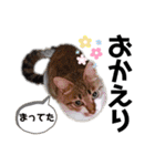 みんなともだち⑧（個別スタンプ：23）