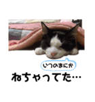 みんなともだち⑧（個別スタンプ：24）