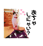みんなともだち⑧（個別スタンプ：29）