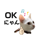 みんなともだち⑧（個別スタンプ：30）
