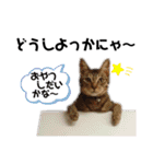 みんなともだち⑧（個別スタンプ：32）