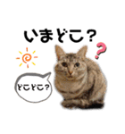 みんなともだち⑧（個別スタンプ：34）
