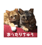 みんなともだち⑧（個別スタンプ：38）