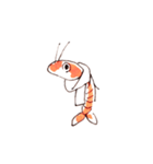 エビ！（個別スタンプ：4）