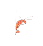 エビ！（個別スタンプ：9）
