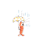 エビ！（個別スタンプ：28）