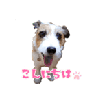 アトムのラララスタンプ（個別スタンプ：2）
