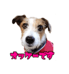 アトムのラララスタンプ（個別スタンプ：6）