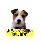 アトムのラララスタンプ（個別スタンプ：7）