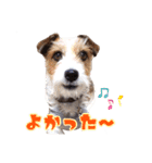 アトムのラララスタンプ（個別スタンプ：13）