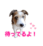 アトムのラララスタンプ（個別スタンプ：19）