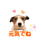 アトムのラララスタンプ（個別スタンプ：21）