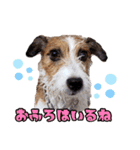 アトムのラララスタンプ（個別スタンプ：22）