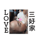 チワワのくうさま（個別スタンプ：2）