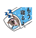 チワワのくうさま（個別スタンプ：4）