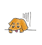 四本足のお友達。犬のチャップ。（個別スタンプ：5）