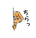 四本足のお友達。犬のチャップ。（個別スタンプ：9）