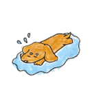 四本足のお友達。犬のチャップ。（個別スタンプ：13）