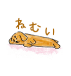 四本足のお友達。犬のチャップ。（個別スタンプ：17）