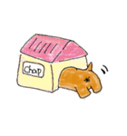 四本足のお友達。犬のチャップ。（個別スタンプ：36）