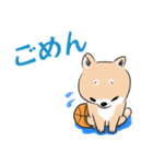 忠犬シバスケ（個別スタンプ：3）