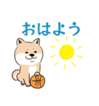 忠犬シバスケ（個別スタンプ：5）