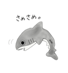 おサメさんスタンプ（個別スタンプ：3）