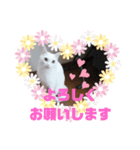 TENKOにゃんずฅ（個別スタンプ：7）