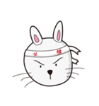 うさぎの 毎日（個別スタンプ：5）